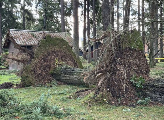 'Ciklon bomba' pogodio zapadnu obalu Sjedinjenih Država,