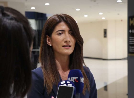 Filipović: HDZ BiH spreman na razgovore o Južnoj interkonekciji