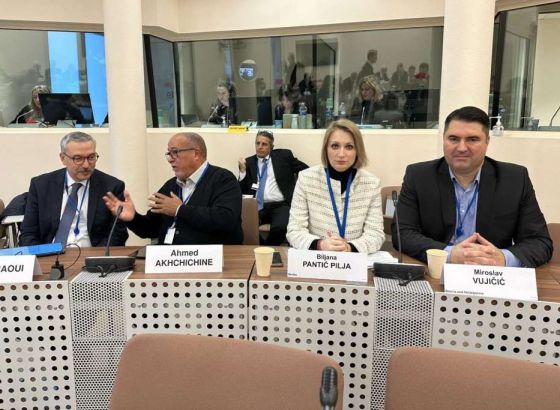 Vujičić na sjednici Komiteta PSVE za politička pitanja i demokratiju u Parizu
