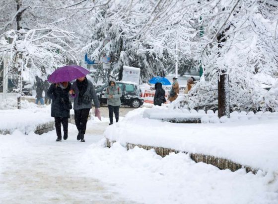 Zbog snijega u KS dolazilo do pucanja i obaranja grana, potraga za jednom osobom na Bjelašnici
