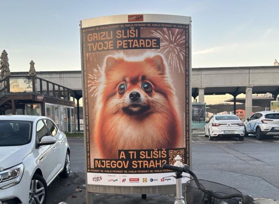 Grizli čuje tvoje petarde, a čuješ li ti njegov strah?!