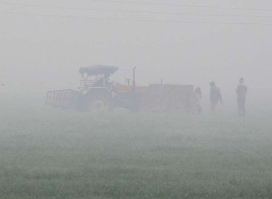 Gusti smog i zagađenje izazvali haos u saobraćaju u indijskoj prijestonici New Delhiju