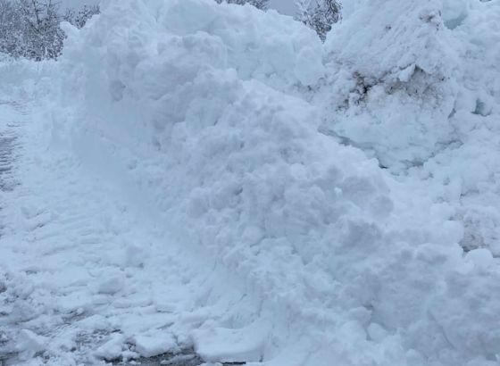 U Crnoj Gori orkanski udari vjetra; U Nikšiću i na Žabljaku iz snijega spašeno 14 osoba