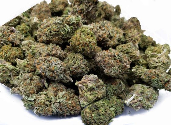 Bugarska zaplijenila 356 kilograma marihuane porijeklom iz SAD-a