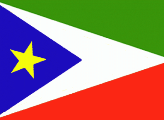 U padu aviona u Južnom Sudanu poginulo 20 osoba