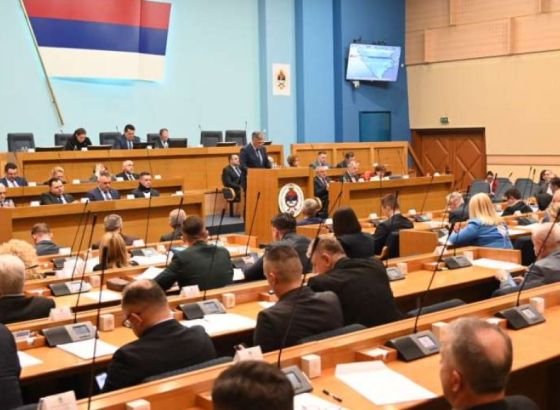 NES: Dodik i NSRS napadaju na ustavni poredak BiH, pocesuirati sve odgovorne jer mogu izazvati nesagledive posljedice