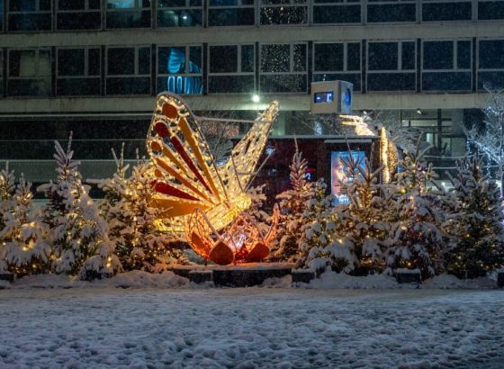 Završen 2. Festival svjetla Sarajevo, sadržaje posjetilo više od 300.000 posjetitelja