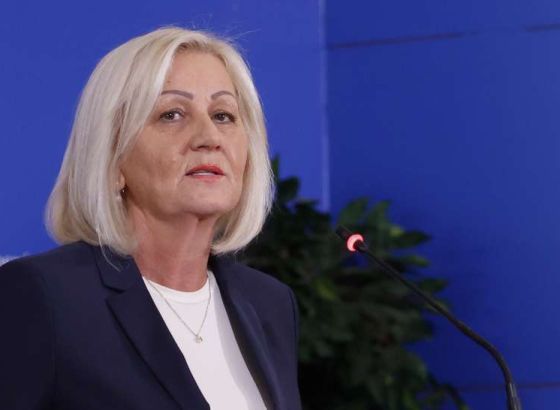 Krišto imenovala Gorana Selaka za ministra sigurnosti BiH