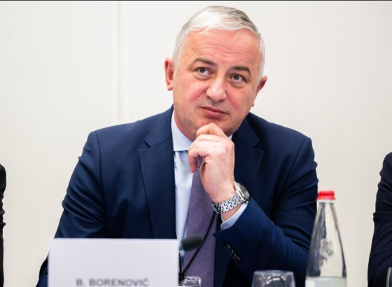 Branislav Borenović iz Strazbura: Jasno sam ukazao na neophodnost smirivanja političkih tenzija