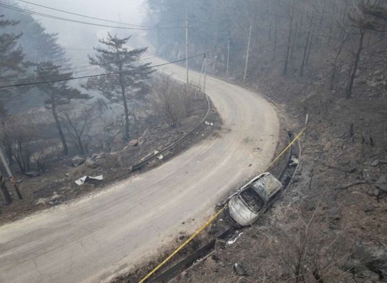 Najmanje 18 poginulih u šumskim požarima u Južnoj Koreji
