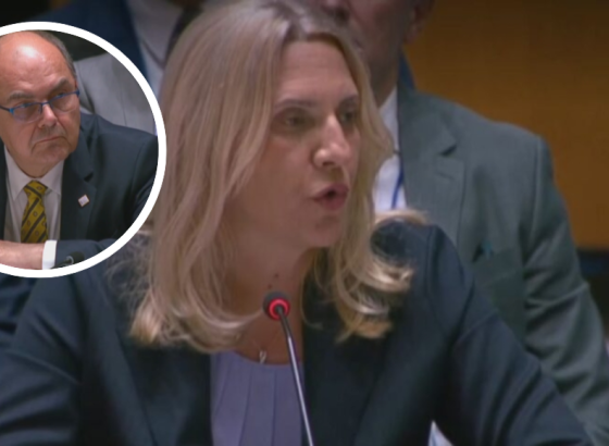 OBRAĆANJE U UN-u: Cvijanović za sve okrivila Schmidta, traži glasanje o njegovom statusu; Schmidt u nevjerici