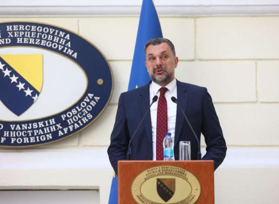 Konaković: Sinoćnji sastanak je bio dobar, ali ne očekujem 'historijske' odluke PIC-a