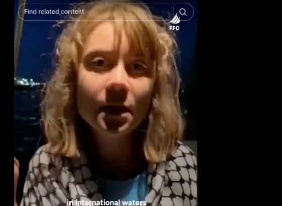 Greta Thunberg: ''Izraelske snage su nas otele, tražim pomoć od švedske vlade''; Odveli ih na zdravstveni pregled pa deportacija