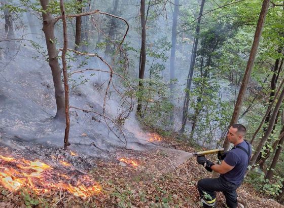 U Brčkom zbog visokih temperatura i nesavjesnih građana česti požari