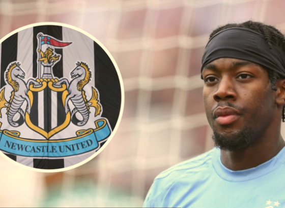 Newcastle dogovorio dolazak reprezentativca Švedske
