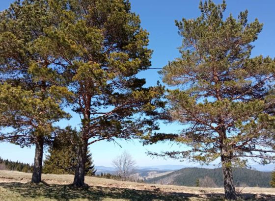 U Bosni sutra oblačno, u Hercegovini sunčano, temperature u porastu