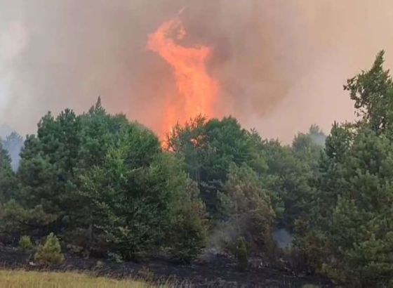 Požar u Prozor-Rami i dalje aktivan, OS BiH angažirane u gašenju iz zraka