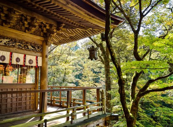 Japan – putovanje u zemlju tradicije, tehnologije i prirodnih kontrasta
