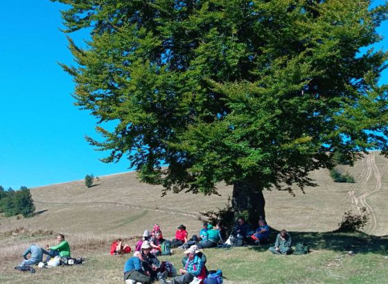 Dani planinara FBiH ovog vikenda na planini Lisac iznad Zenice