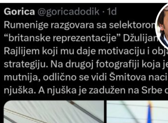 Ne vjerujem da je Gorica Dodik naručila napad na Borenovića, ali njen i jezik mržnje njenog oca stvara atmosferu nasilja