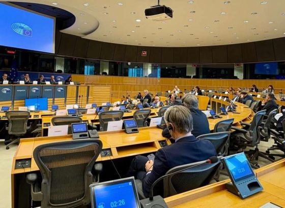 EP raspravlja o upotrebi sile nad demonstrantima u Srbiji