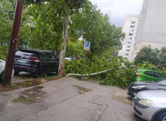 HNŽ: Velike štete nakon nevremena, stabla blokirala promet, u Jablanici postavljene vreće s pijeskom
