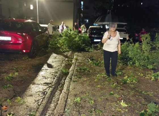 Mostar: Brojne intervencije vatrogasaca, stablo palo na tri automobila