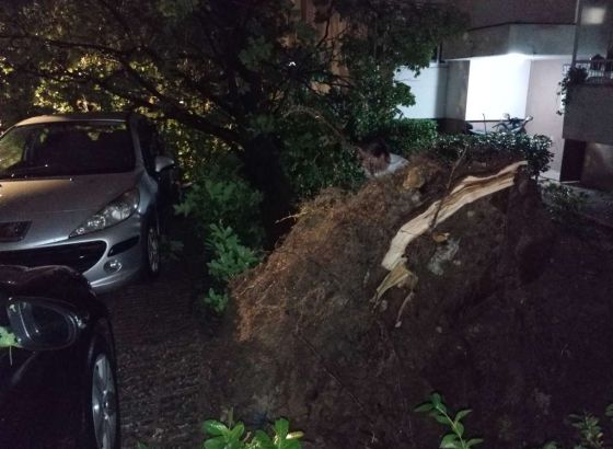 Posljedice nevremena u Mostaru: Vatrogasci intervenirali 14 puta, preporučuje se prokuhavanje vode