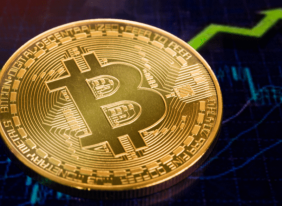 Panika na tržištu kriptovaluta