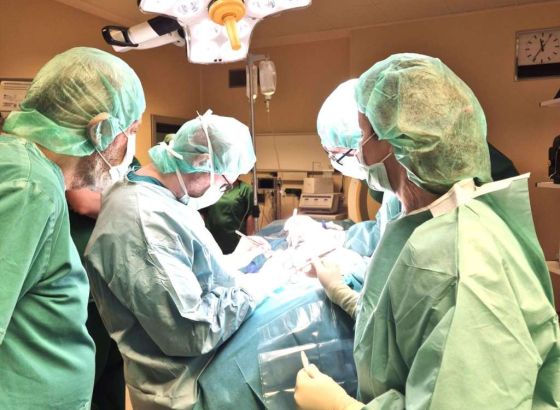 Ljekari u Kini izveli prvu transplantaciju svinjske jetre čovjeku