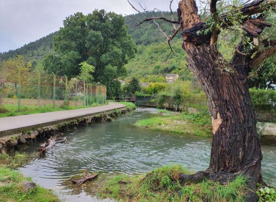 U BiH danas oblačno vrijeme, u većini krajeva tokom noći moguća slaba kiša