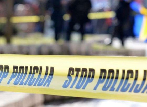 Procurili jezivi detalji: Policijska racija prekinula ilegalne borbe pasa u BiH, privedene 84 osobe