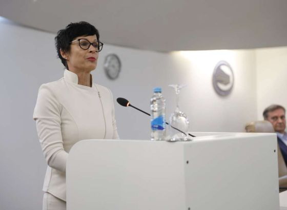 Članstvo je u interesu Srbije i EU-a ali uz reforme, poručili Kos i eurozastupnici