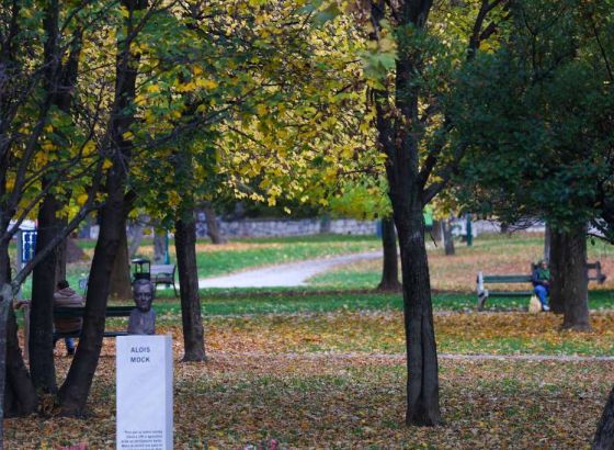 Sutra u BiH sunčano vrijeme, prijepodne po kotlinama Bosne i uz riječne tokove magla