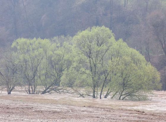 Izdano upozorenje za moguće poplave i bujice u Hercegovini