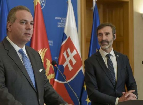 Blanar: Crna Gora sljedeća članica Europske unije