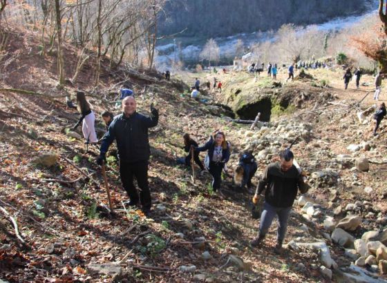 Volonteri u Konjicu i Jablanici vraćaju život šumama u okviru kampanje Boranka