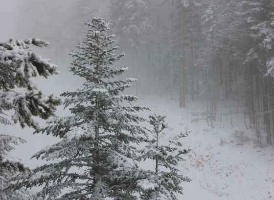 U BiH danas oblačno s kišom, na vrhovima planina snijeg