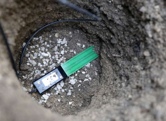 Stabla koja sama kažu kada su žedna - Beč testira nove pametne senzore