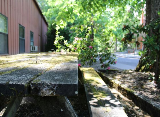 Kako iskoristiti svaki kvadrat prostora u dvorištu?