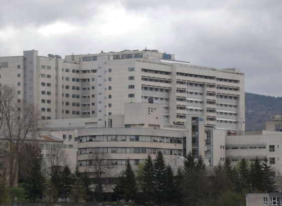 U Sarajevu preminula žena na koju je jutros palo stablo