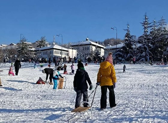 Brojni mališani uživaju u sankanju i igri na snijegu u sarajevskom naselju Mojmilo