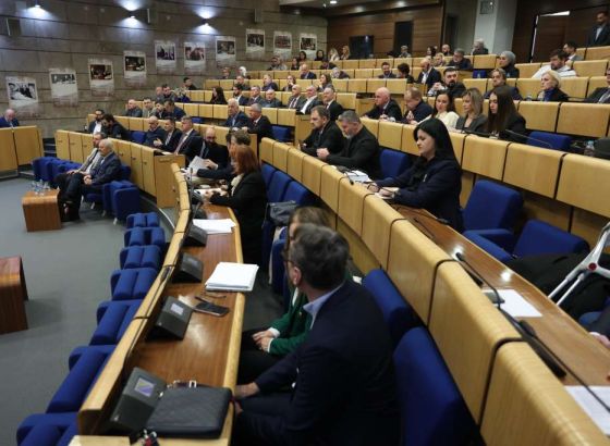 Zakon o pravima porodilja ipak na dnevnom redu Predstavničkog doma