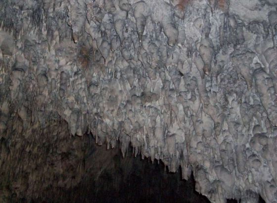 Najstarija pećinska slika šake s kandžama mogla bi promijeniti hronologiju ljudske kreativnosti