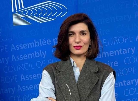 Ćudić izabrana za prvu dopredsjednicu Monitoring komiteta Vijeća Evrope