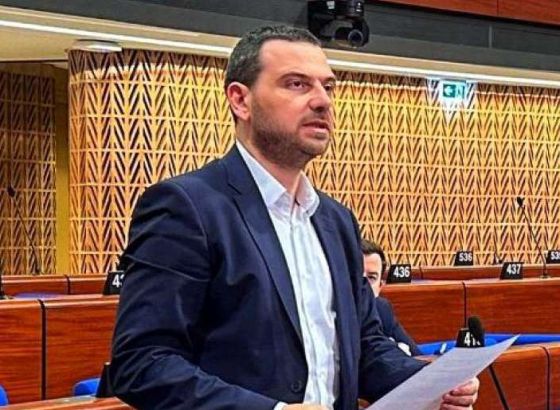 Magazinović u Strasbourgu: Zaustaviti uplitanje Srbije i Hrvatske u unutrašnje stvari BiH