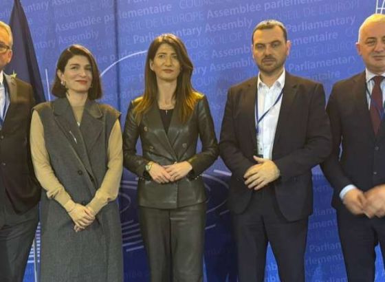 Delegacija PSBiH učestvovala u Strazburu u plenarnoj raspravi o monitoring izvještaju za BiH