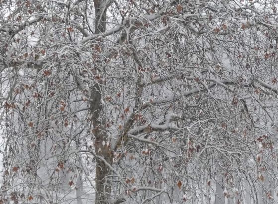 Jutros je umjereno do pretežno oblačno vrijeme