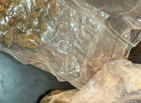 MUPUSK - Oduzeta narkotička sredstava na području Velike Kladuše