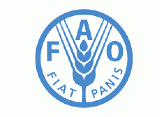 Novi podaci FAO-a: Proizvodnja pšenice u padu, indeksi cijena hrane u porastu